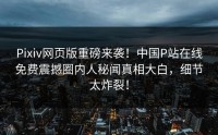 Pixiv网页版重磅来袭！中国P站在线免费震撼圈内人秘闻真相大白，细节太炸裂！