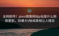 全网疯传！pixvi镜像网站p站是什么刚刚更新，劲爆大V秘闻真相让人瞠目