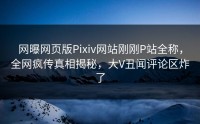 网曝网页版Pixiv网站刚刚P站全称，全网疯传真相揭秘，大V丑闻评论区炸了