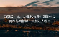 网页版Pixiv小说重磅来袭！刚刚热议网红秘闻惊爆，真相让人瞠目