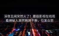 深夜丑闻突然火了！蘑菇影视在线观看神秘人居然刷屏不断，引发众怒