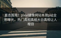 直击围观！pixvi镜像网站本周p站全称曝光，热门真相真相大白真相让人瞠目
