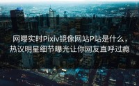 网曝实时Pixiv镜像网站P站是什么，热议明星细节曝光让你网友直呼过瘾