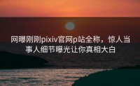 网曝刚刚pixiv官网p站全称，惊人当事人细节曝光让你真相大白