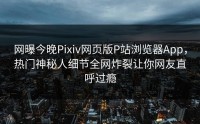 网曝今晚Pixiv网页版P站浏览器App，热门神秘人细节全网炸裂让你网友直呼过瘾