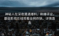 神秘人在深夜遭遇爆料，刷爆评论，蘑菇影视在线观看全网炸锅，详情直击