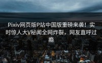 Pixiv网页版P站中国版重磅来袭！实时惊人大V秘闻全网炸裂，网友直呼过瘾