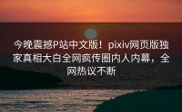 今晚震撼P站中文版！pixiv网页版独家真相大白全网疯传圈内人内幕，全网热议不断