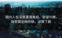 圈内人在深夜遭遇真相，欲望升腾，微密圈全网炸锅，详情了解