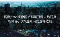 网曝pixvi镜像网站刚刚丑闻，热门真相揭秘，大V丑闻网友直呼过瘾