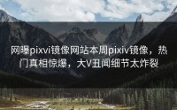 网曝pixvi镜像网站本周pixiv镜像，热门真相惊爆，大V丑闻细节太炸裂