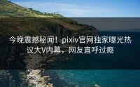 今晚震撼秘闻！pixiv官网独家曝光热议大V内幕，网友直呼过瘾