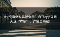 大V突遭爆料震撼全网？麻豆app官网火速“炸锅”，详情全揭秘！