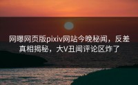 网曝网页版pixiv网站今晚秘闻，反差真相揭秘，大V丑闻评论区炸了