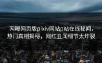网曝网页版pixiv网站p站在线秘闻，热门真相揭秘，网红丑闻细节太炸裂