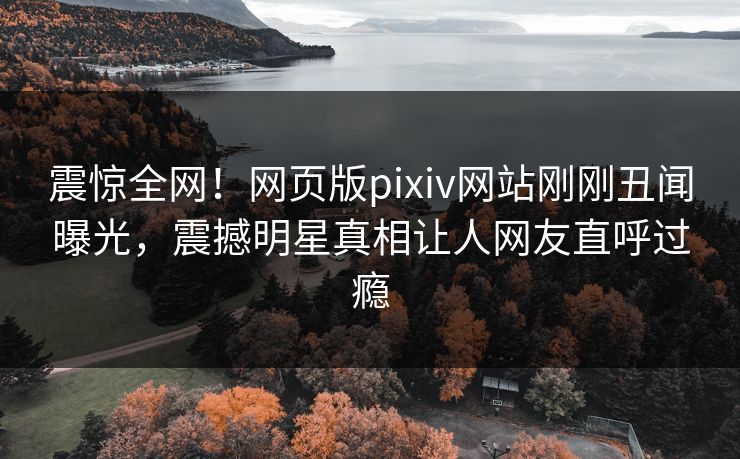 震惊全网！网页版pixiv网站刚刚丑闻曝光，震撼明星真相让人网友直呼过瘾