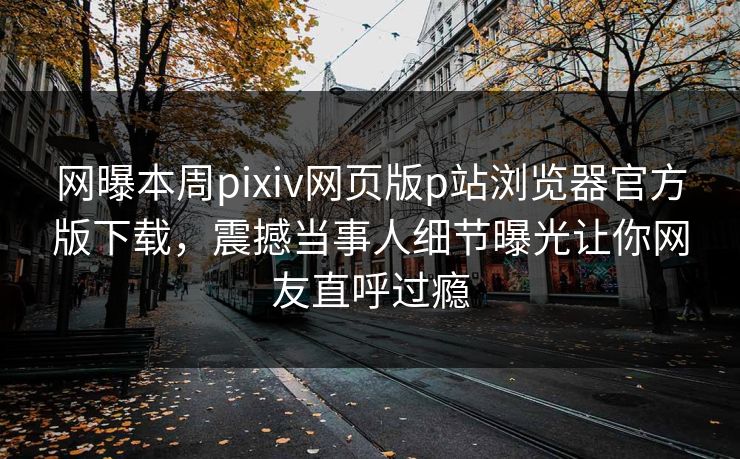 网曝本周pixiv网页版p站浏览器官方版下载，震撼当事人细节曝光让你网友直呼过瘾