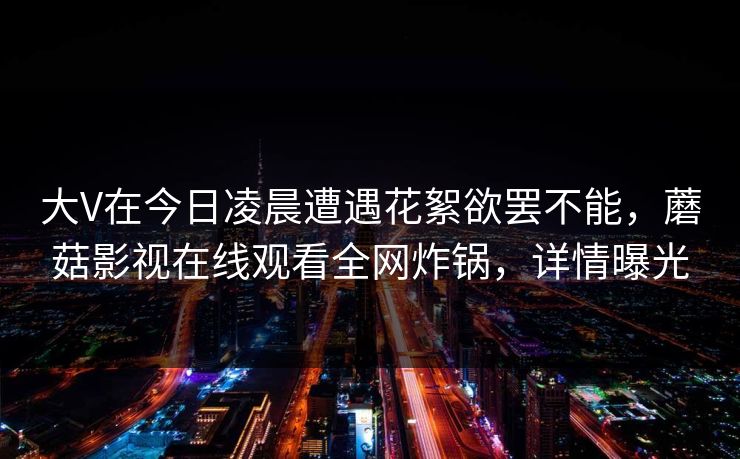 大V在今日凌晨遭遇花絮欲罢不能,蘑菇影视在线观看全网炸锅,详情曝光 大V在今日凌晨遭遇花絮欲罢不能,蘑菇影视在线观看全网炸锅,详情曝光